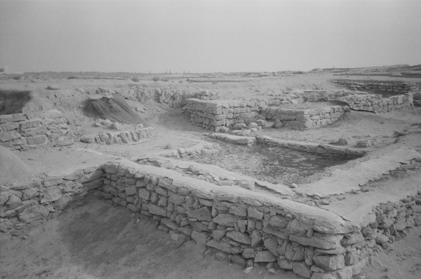 NBC Domino Beetle 400